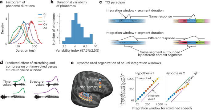 Temporal integration in human auditory cortex is predominantly yoked to absolute time
