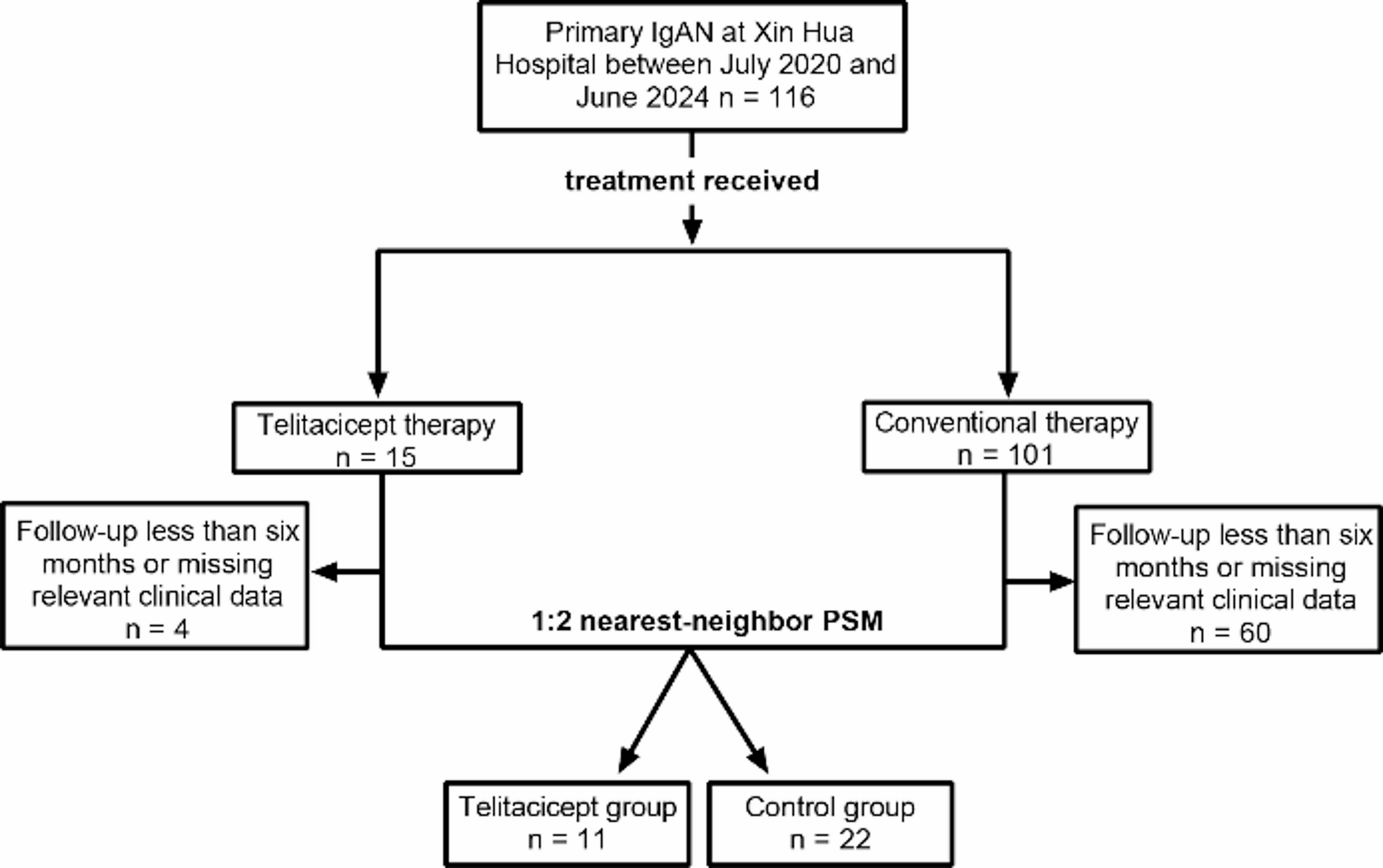 Effectiveness and safety of telitacicept in IgA nephropathy: a propensity score matching analysis with a 6-month follow-up