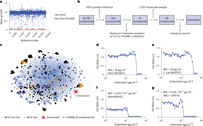 Discovery and artificial intelligence-guided mechanistic elucidation of a narrow-spectrum antibiotic