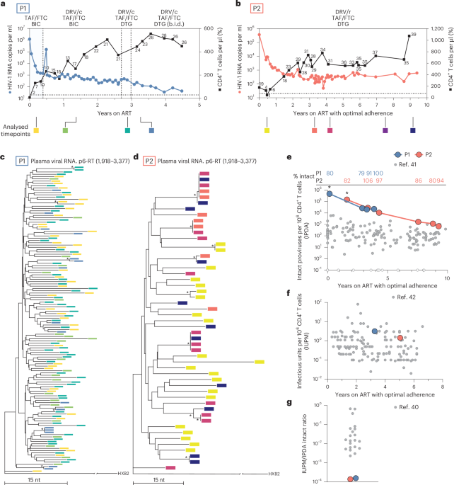 Superinfection promotes replication and diversification of defective HIV-1 proviruses in people with non-suppressible viraemia