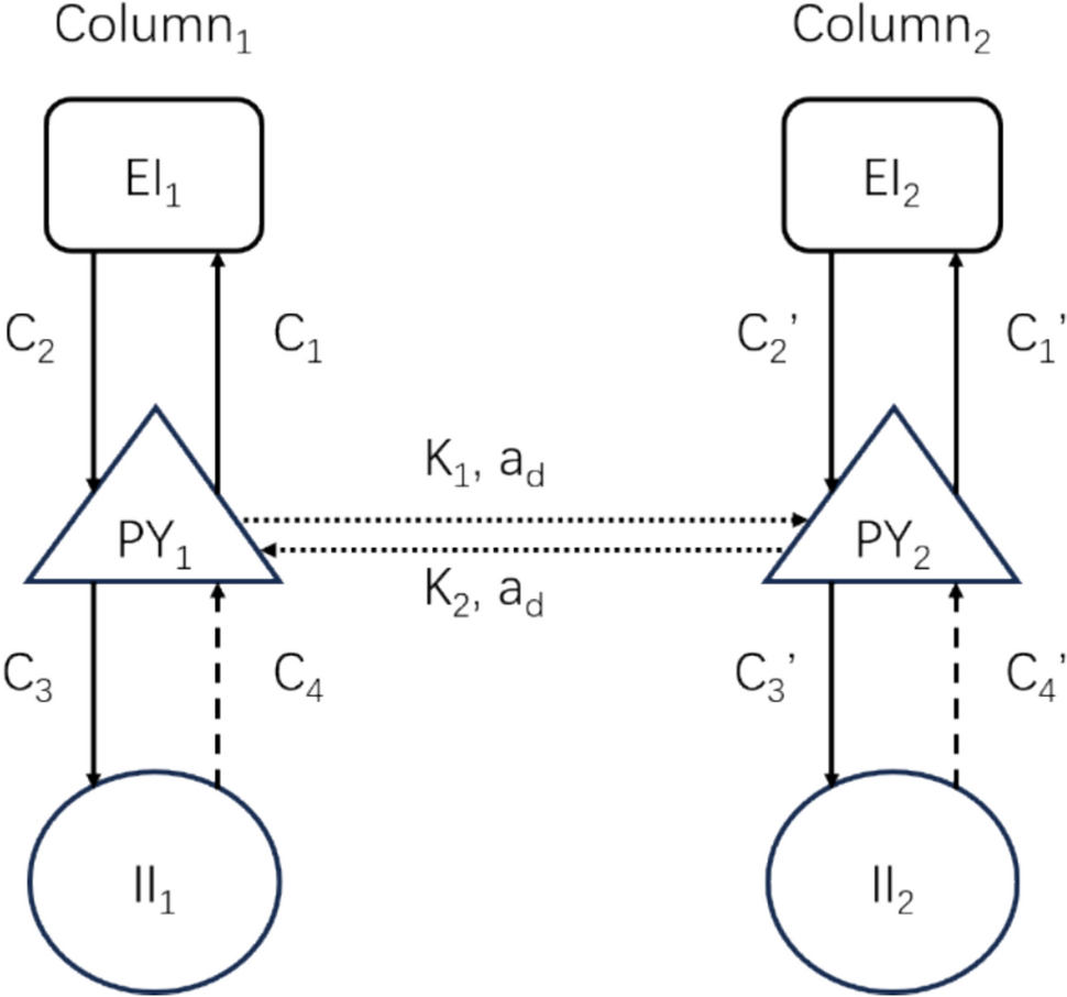 Dynamics study of double-column model and its application in epilepsy EEG
