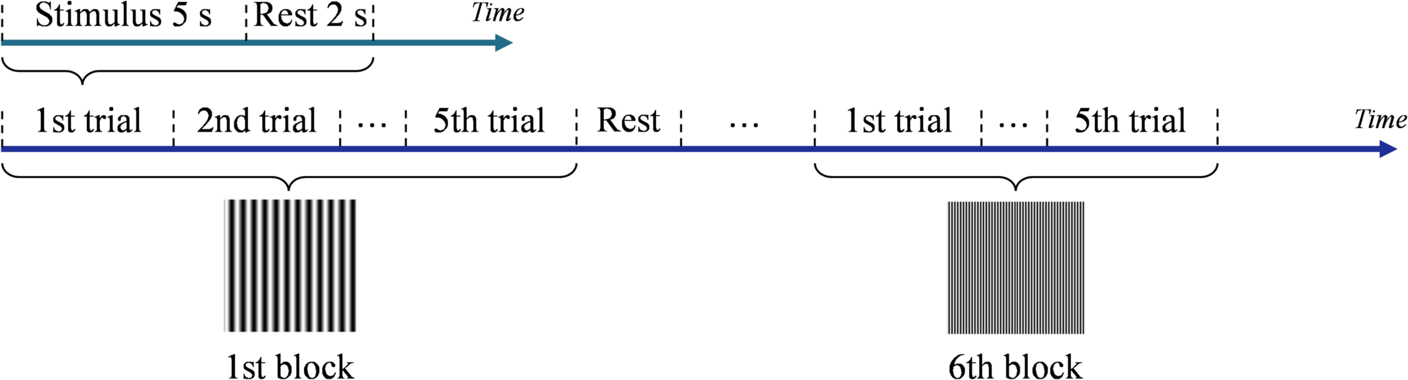 Enhancing performance of SSVEP-based visual acuity via exploiting subject-specific information