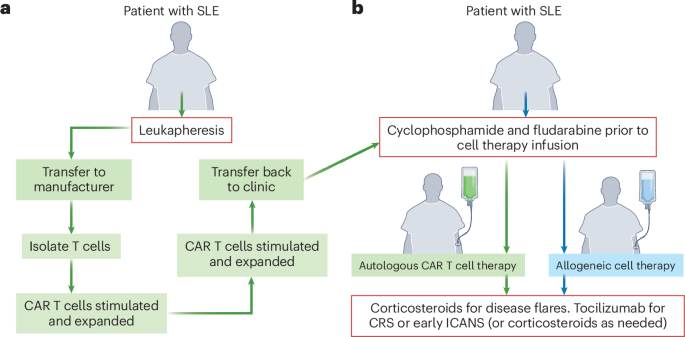 Developing cell therapies for lupus