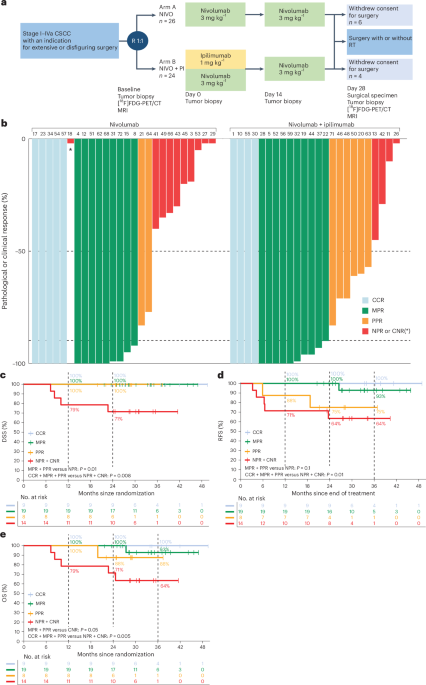 Neoadjuvant ipilimumab and nivolumab in resectable cutaneous squamous cell carcinoma: a randomized phase 2 trial