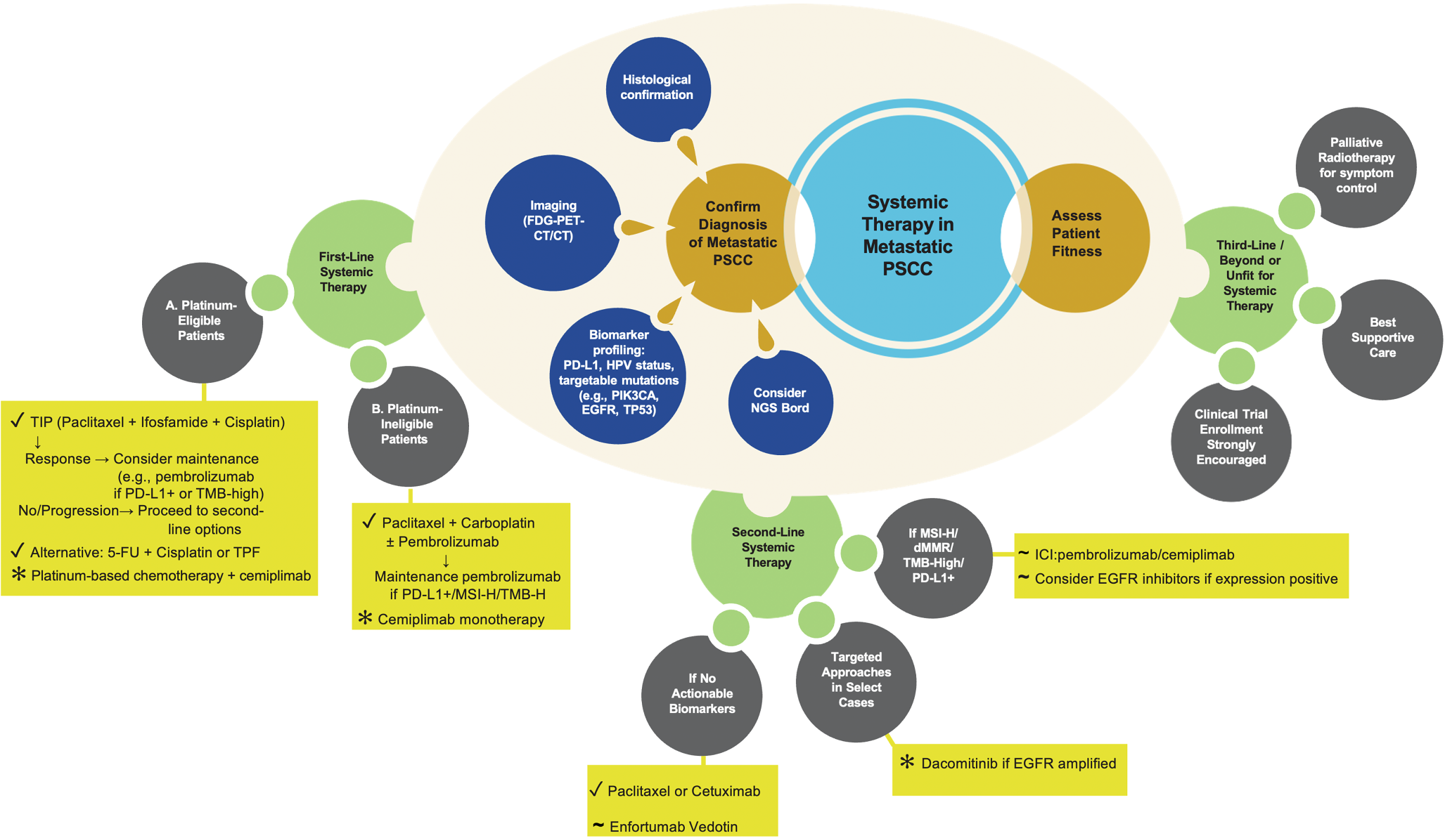 Systemic treatment in metastatic penile cancer: current landscape, challenges, and future directions