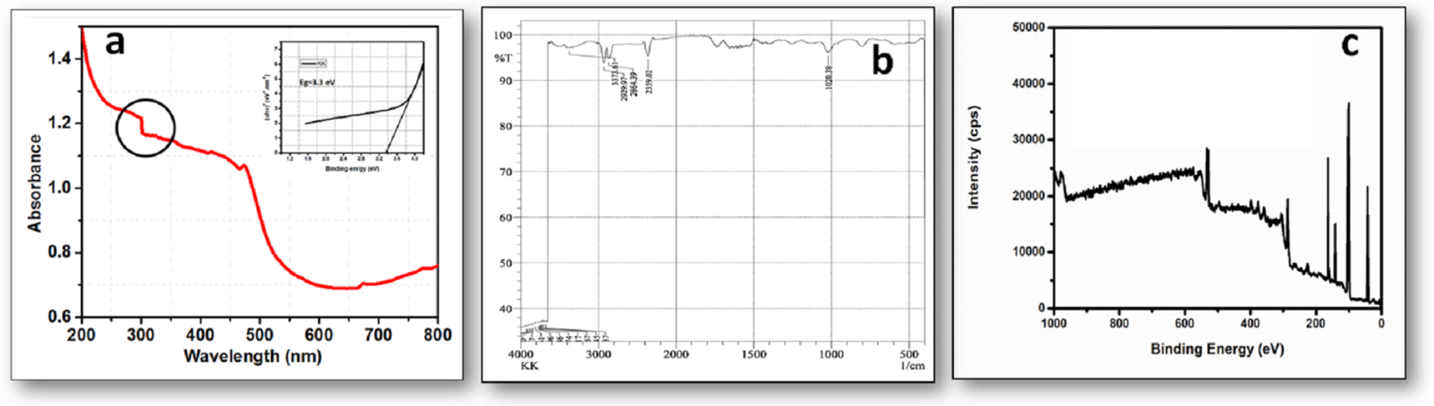 Chemical, elemental, morphological and toxicological characteristics of traditional Indian Siddha formulation: