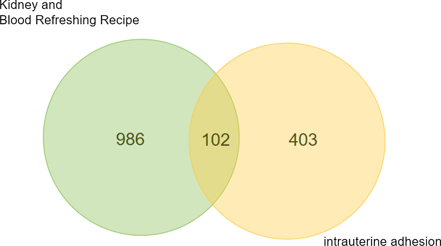 Network pharmacology and experimental validation to explore the molecular mechanisms of kidney and blood refreshing recipe for the treatment of intrauterine adhesions