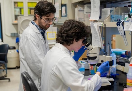 Newly recognized pathway could protect diabetics from hypoglycemia
