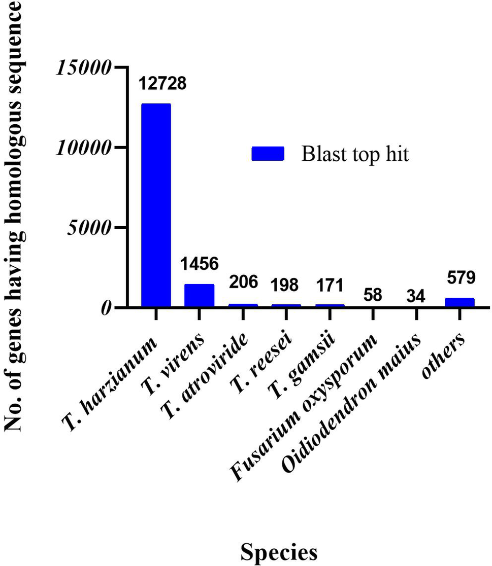 Whole-genome assembly and comparative genomic analyses provide insight into the endophytic lifestyle of