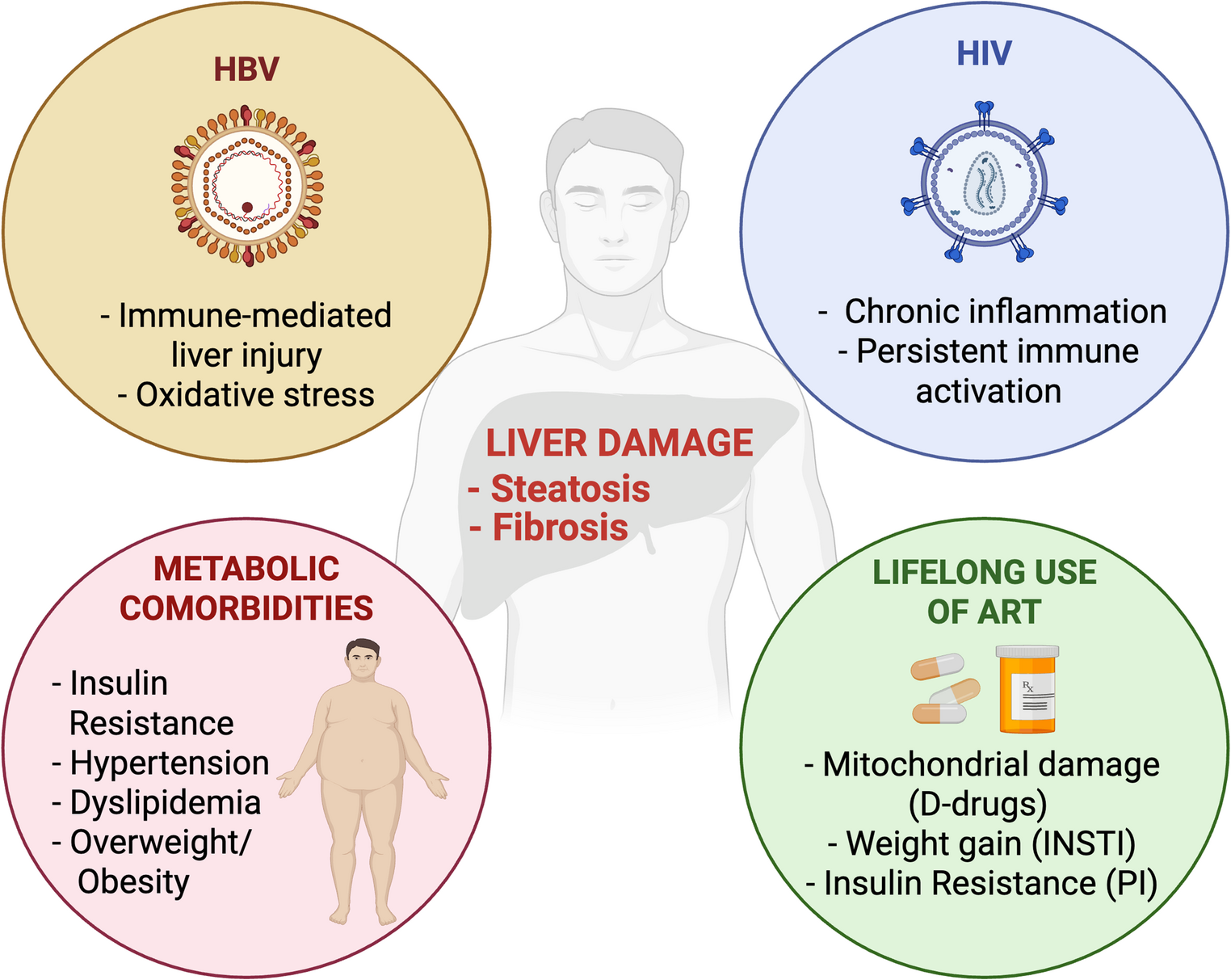 Current and Investigational Biomarkers of Liver Disease in HIV-HBV Co-infection