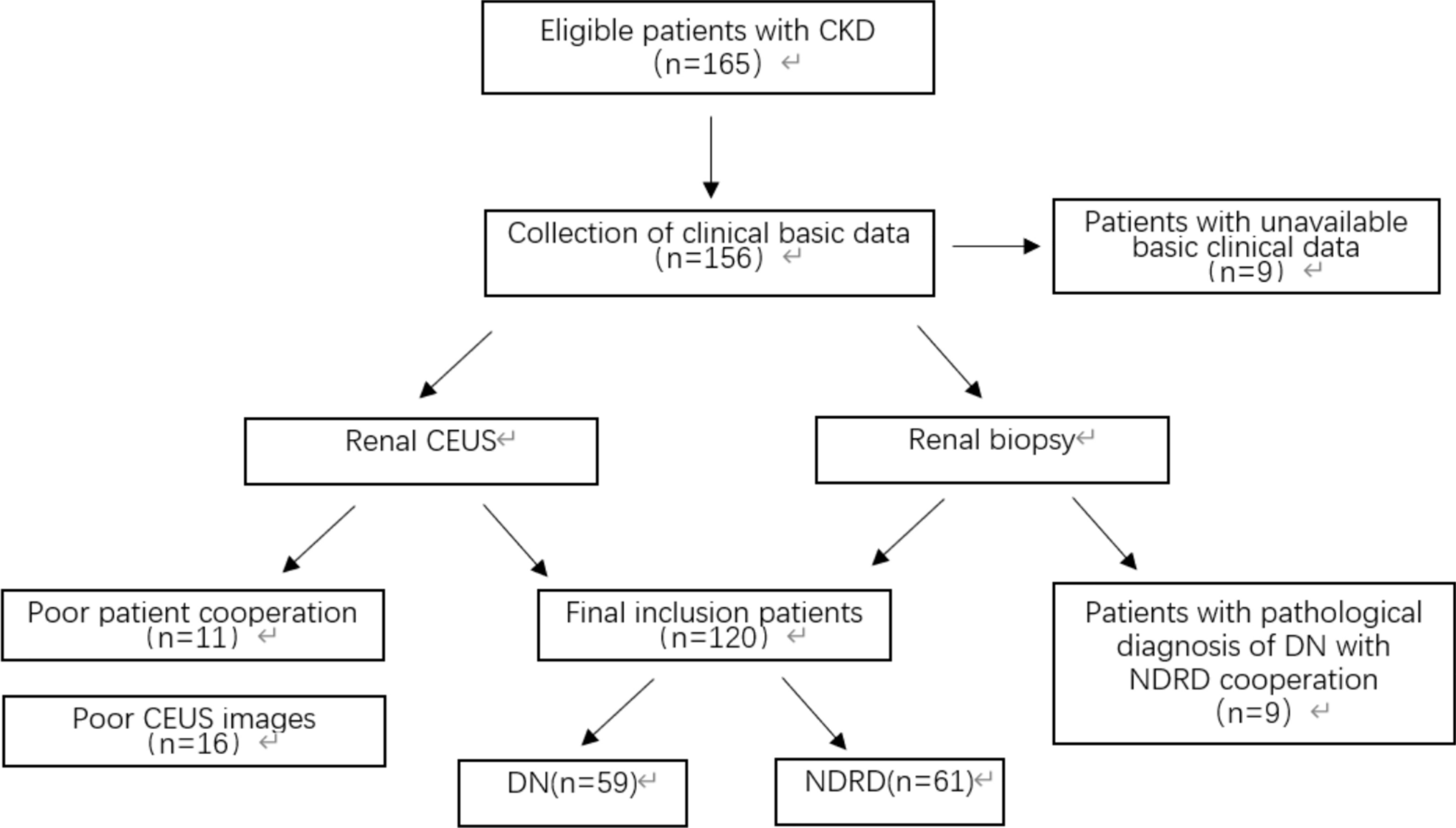 Reliable biomarkers for diabetic nephropathy using machine learning-assisted contrast-enhanced ultrasonography and clinical characteristics