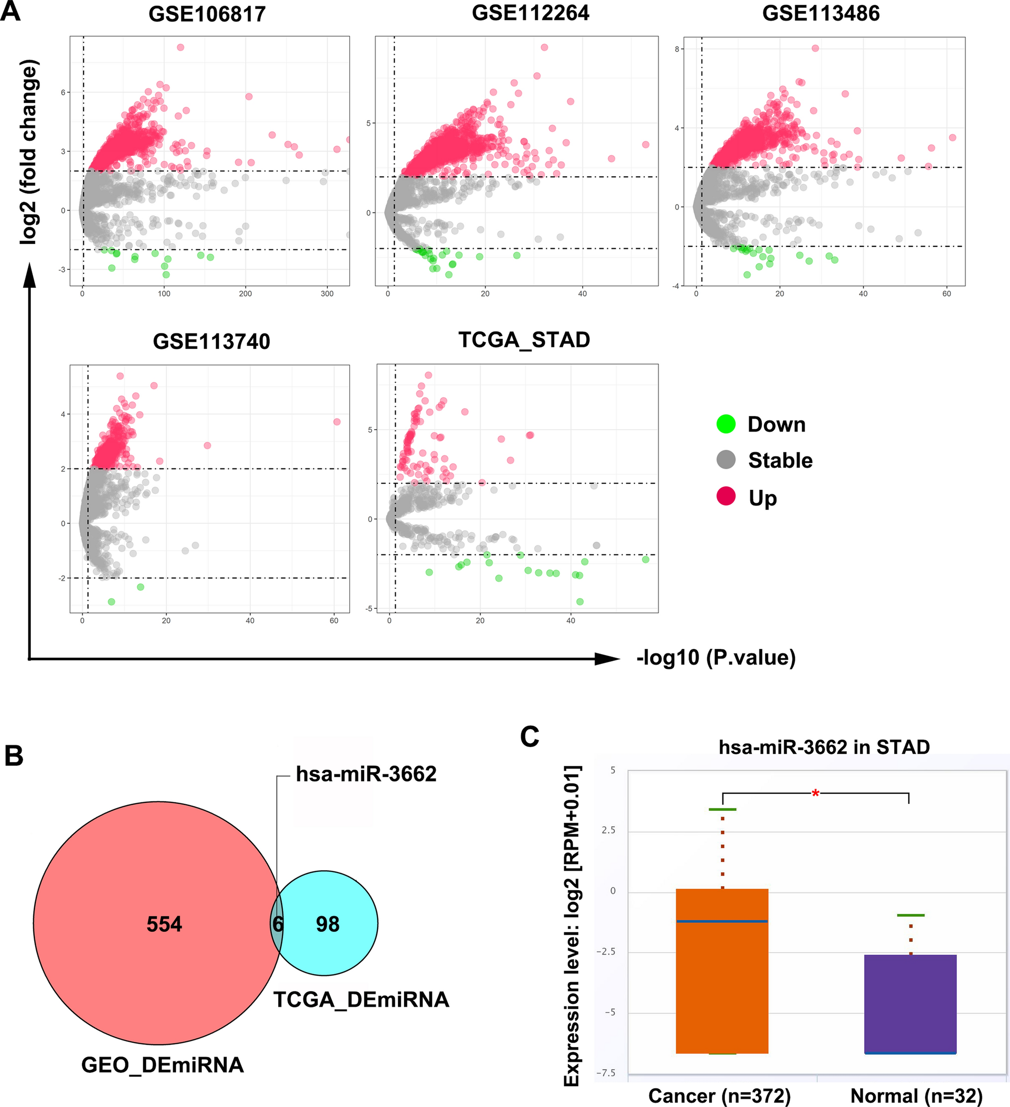 miR-3662 targets CAB39L to promote proliferation and invasion in gastric cancer