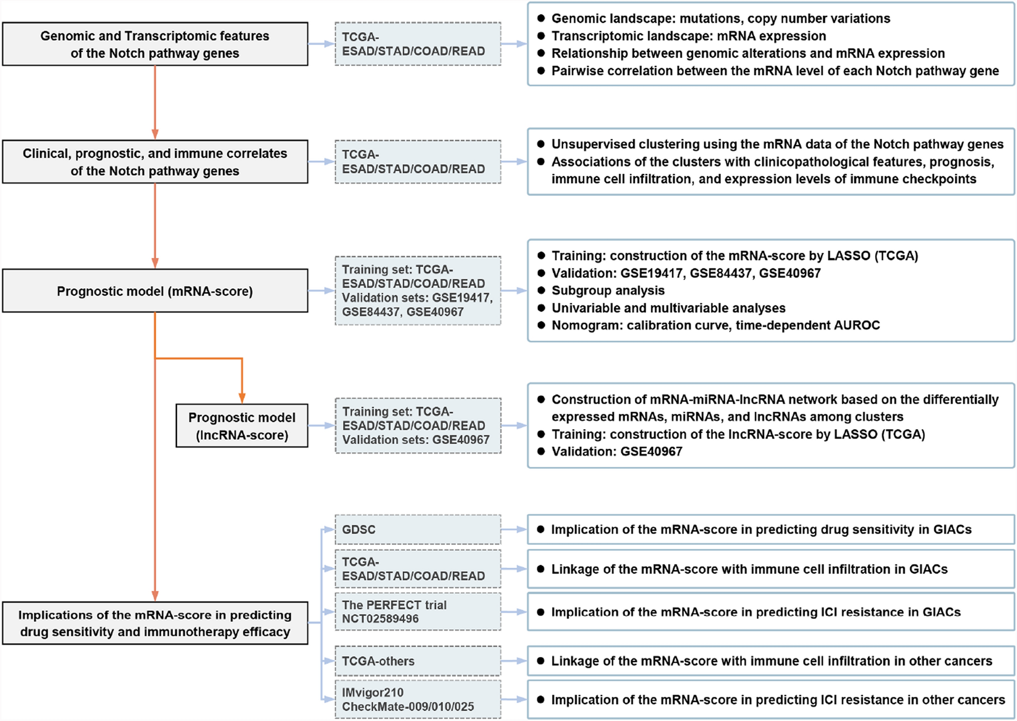 Notch pathway defines an aggressive and immune-suppressive phenotype associated with checkpoint inhibitor resistance in pan-gastrointestinal adenocarcinomas