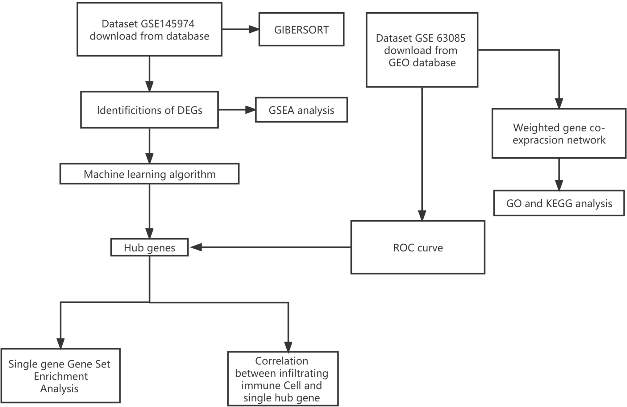 Identification of potential biomarkers for Lyme disease using bioinformatics and machine learning