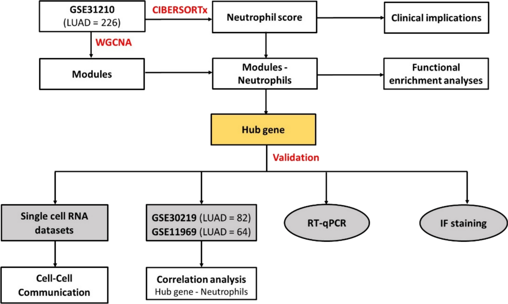 Identification of C1QA as a prognostic marker and regulator of immunosuppressive neutrophils in early-stage lung adenocarcinoma through integrated bioinformatics analyses