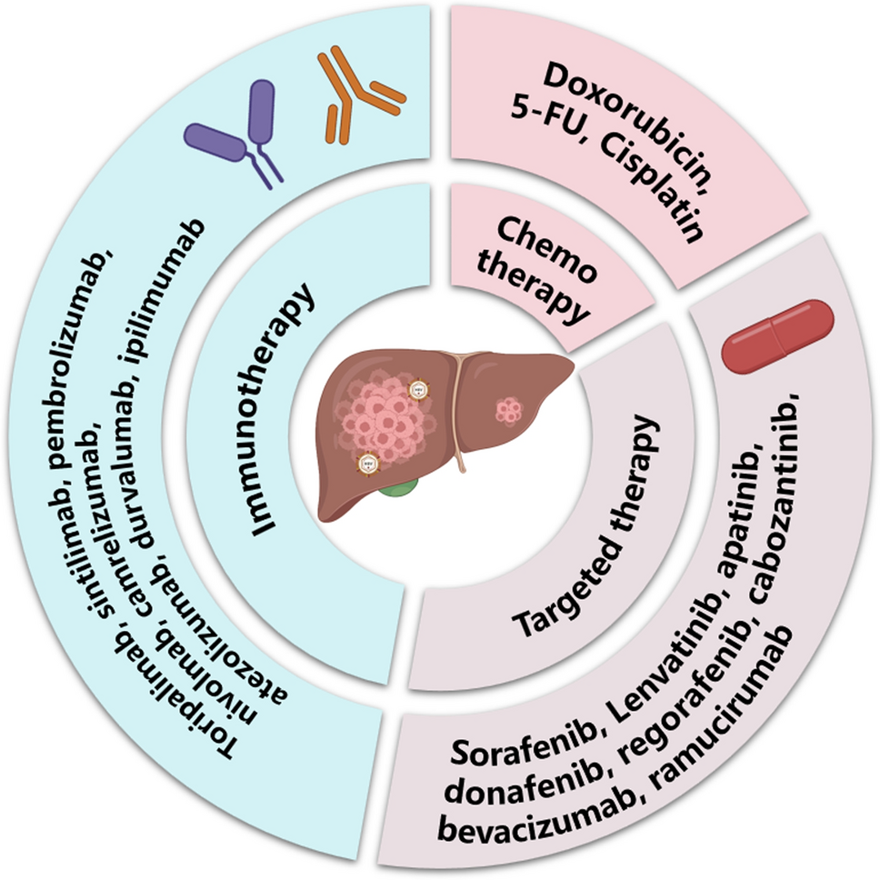 The interplay between hepatitis B virus and antitumor drugs in the treatment of hepatocellular carcinoma