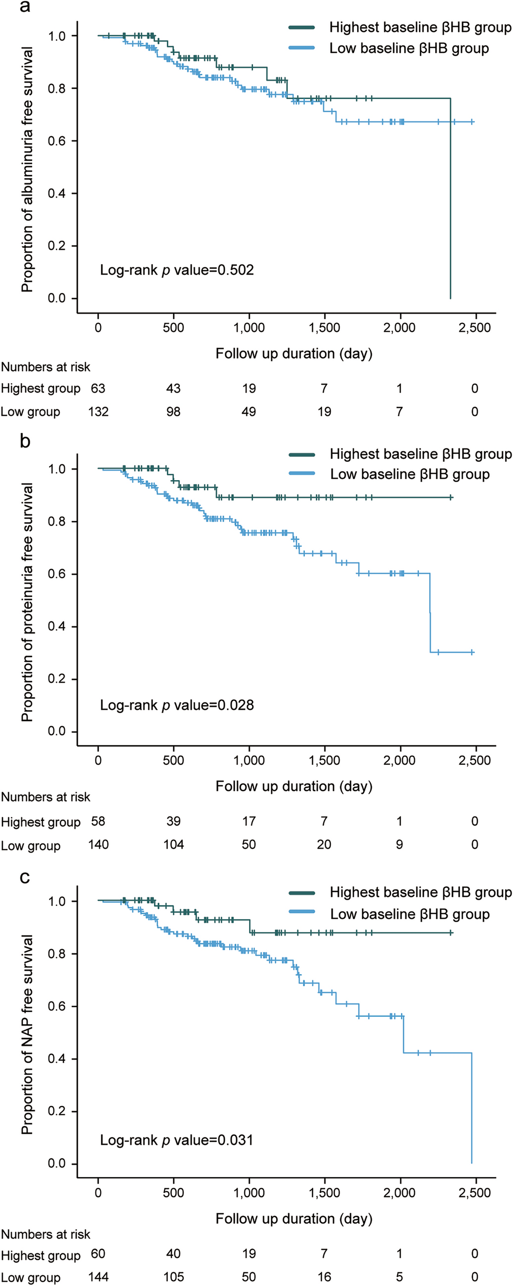 Protective Role of Serum β-Hydroxybutyrate in Early Diabetic Kidney Disease: A Longitudinal Study