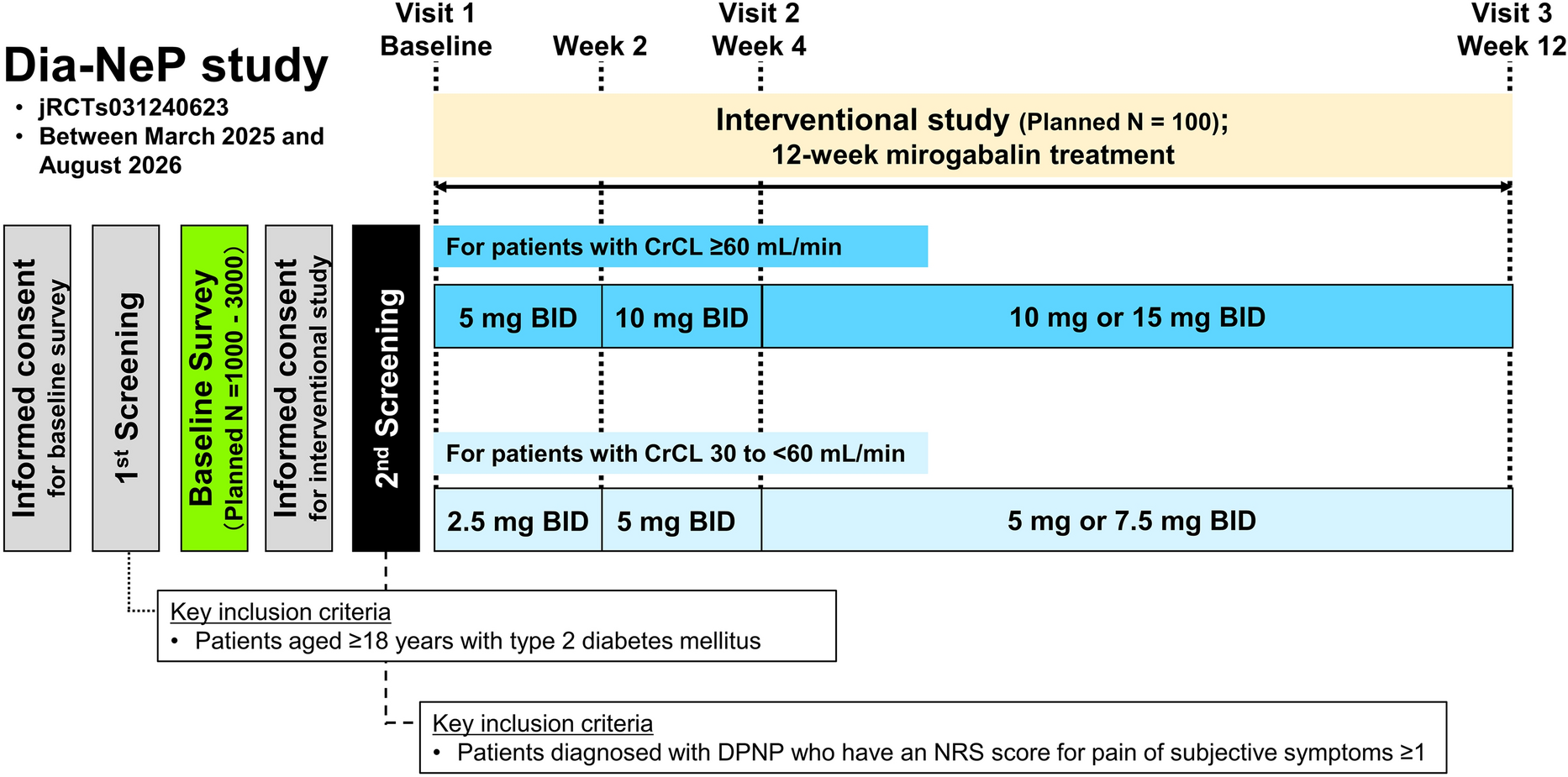 A Multicenter, Prospective, Observational, and Single-Arm Interventional Study of Mirogabalin in Diabetic Peripheral Neuropathic Pain: Rationale and Design of Dia-NeP