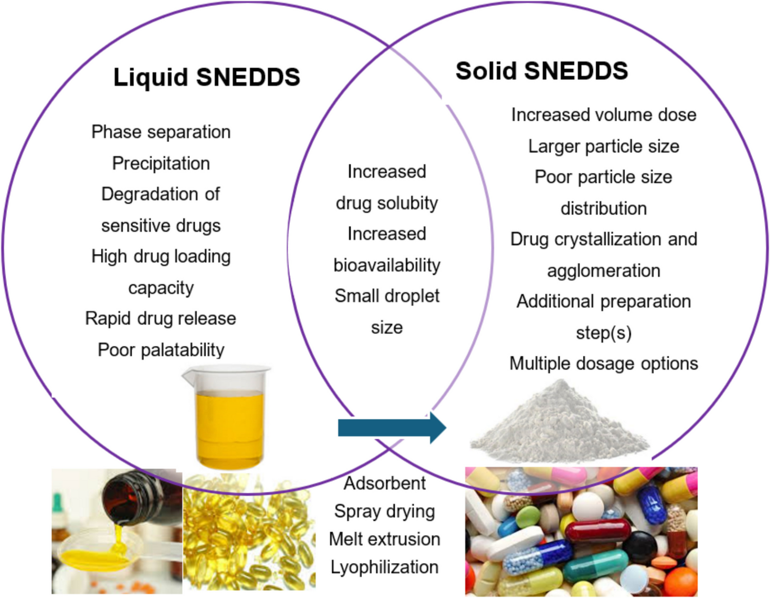 From Liquid SNEDDS to Solid SNEDDS: A Comprehensive Review of Their Development and Pharmaceutical Applications
