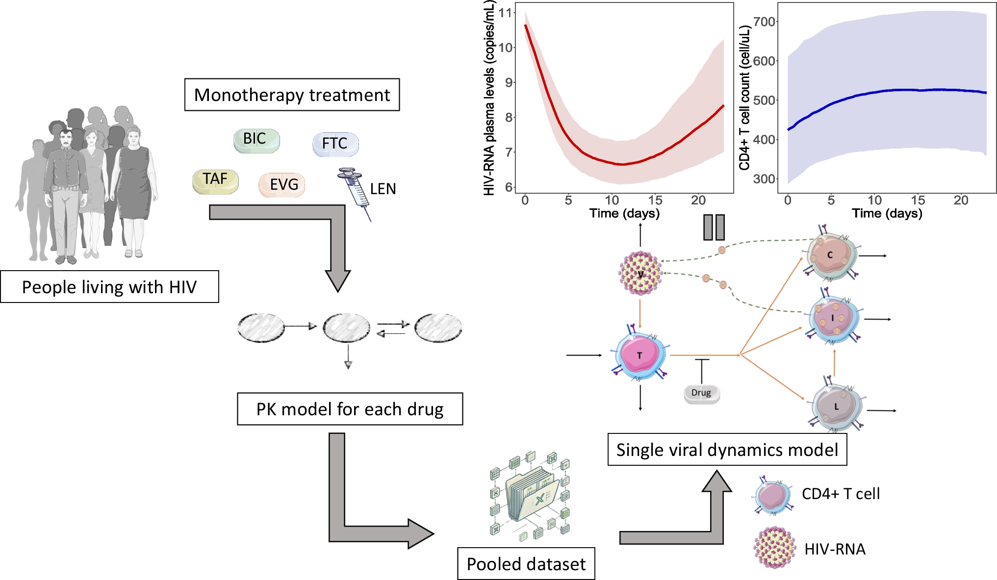 Integrated Population Pharmacokinetic-pharmacodynamic Modeling of HIV Virus-host Infection Dynamics in Patients Undergoing Antiretroviral Monotherapy