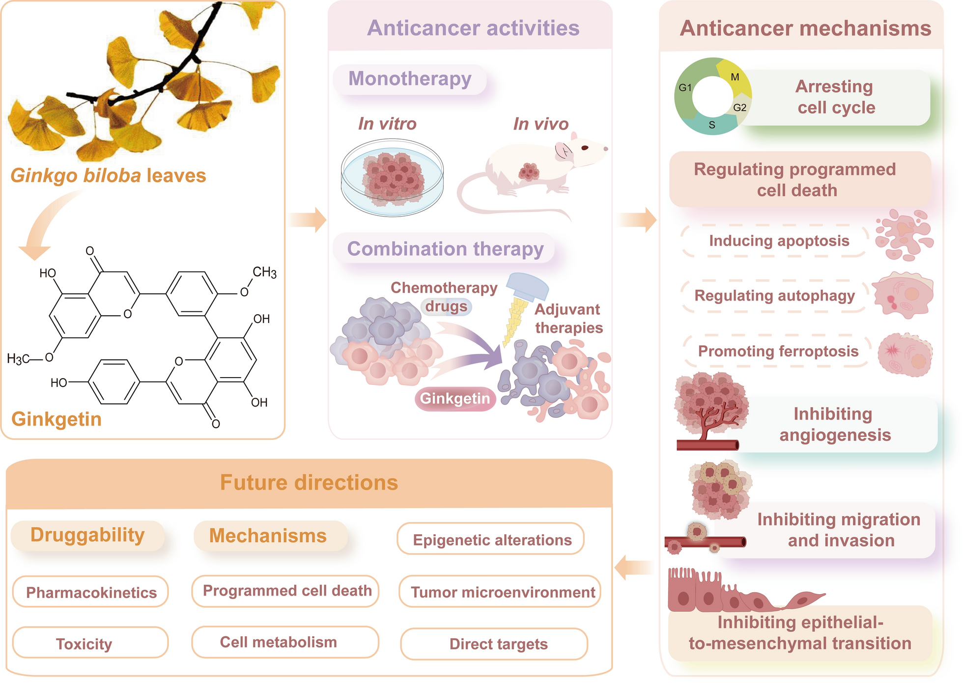 Ginkgetin from : mechanistic insights into anticancer efficacy