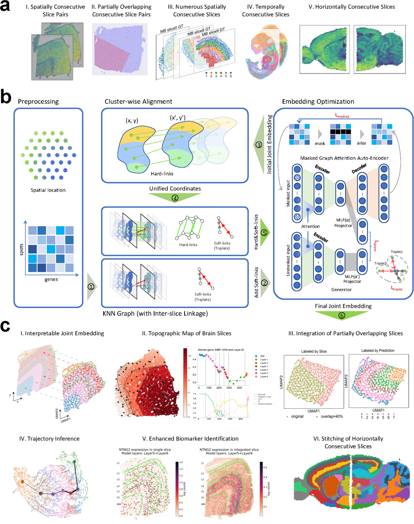 MaskGraphene: an advanced framework for interpretable joint representation for multi-slice, multi-condition spatial transcriptomics