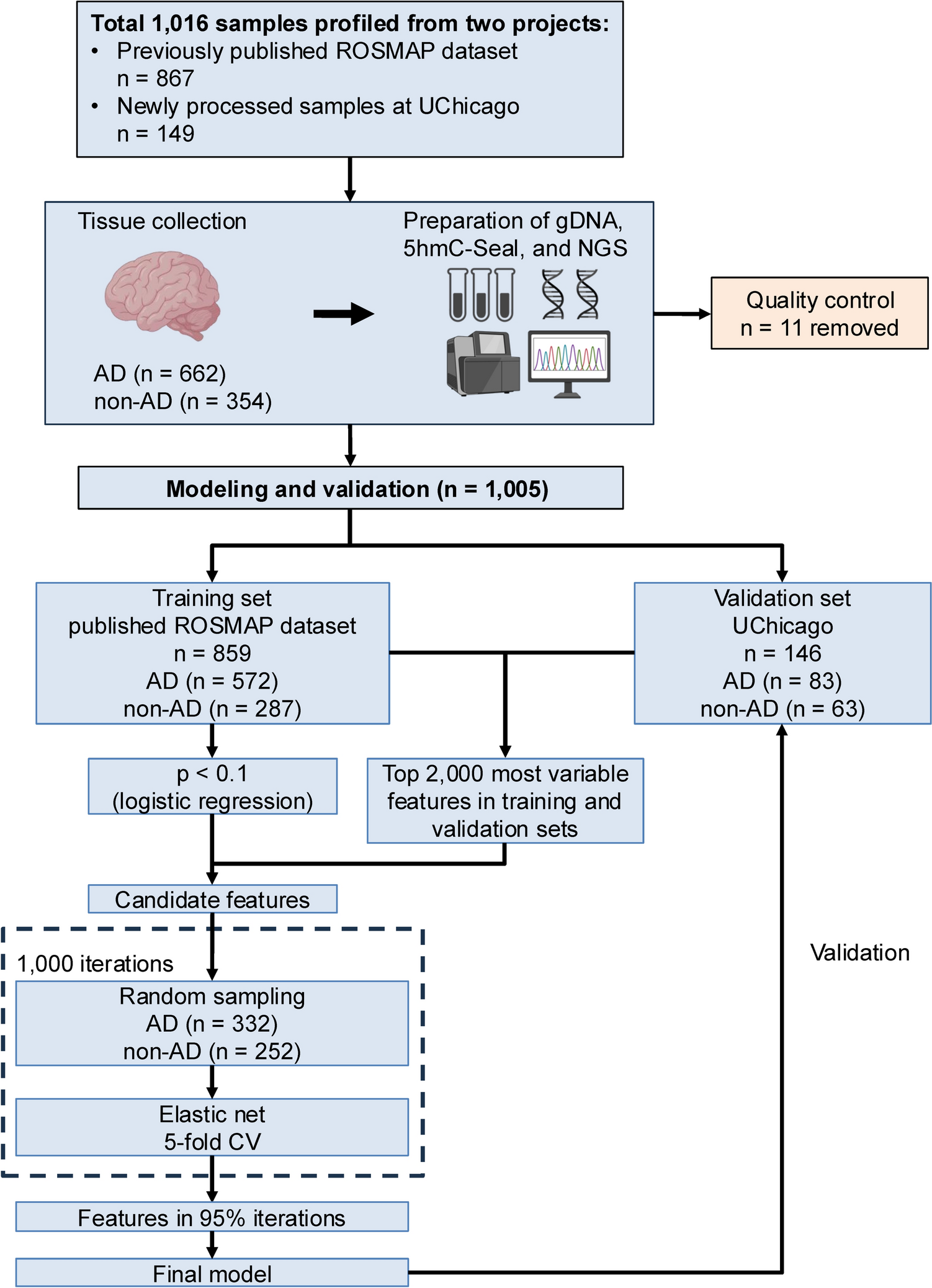 Brain-derived 5-hydroxymethylcytosine epigenetic scores are related to Alzheimer’s disease pathology and cognitive decline