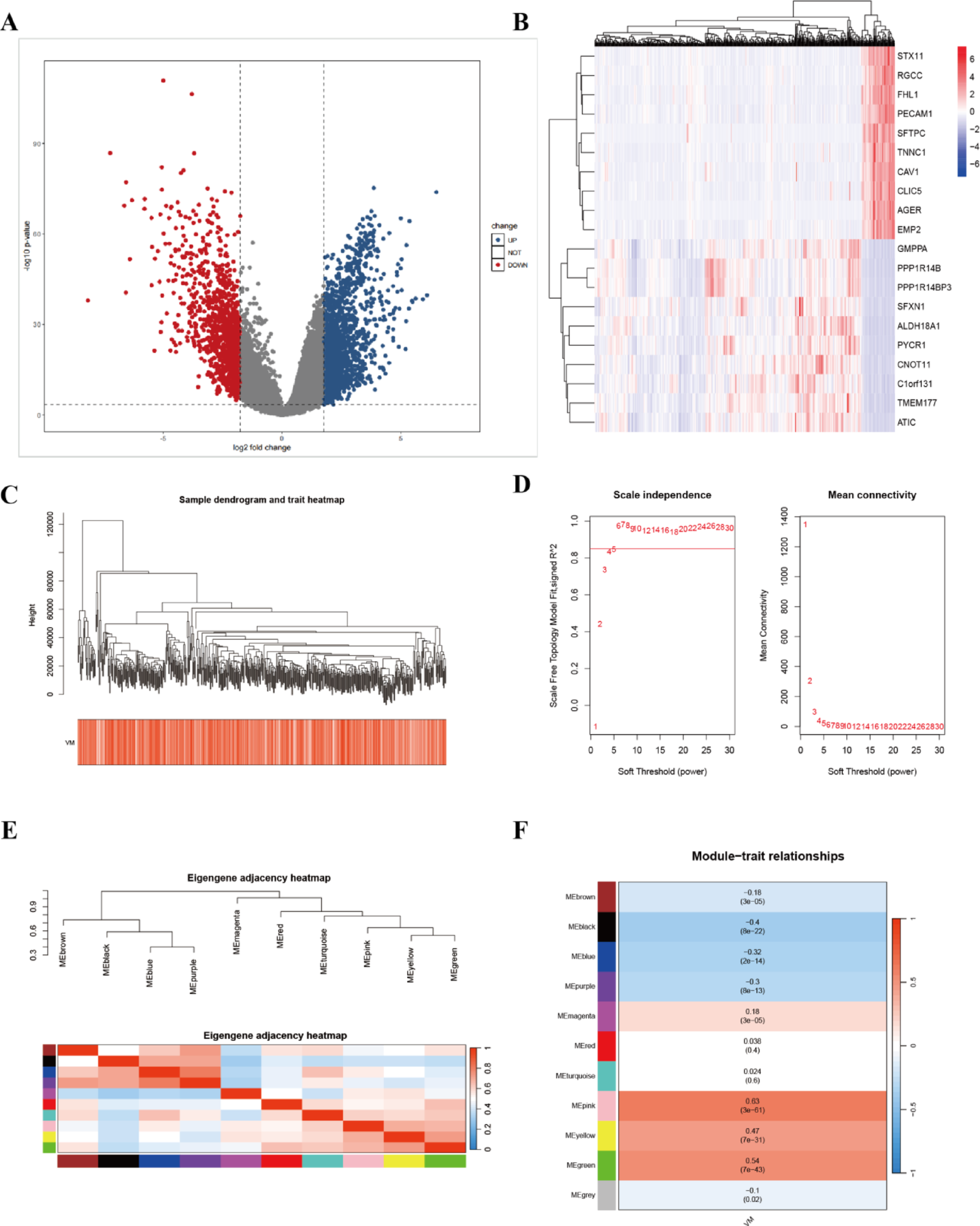 DCN, NPM3 and SULF1 are hub genes related to vasculogenic mimicry in lung adenocarcinoma