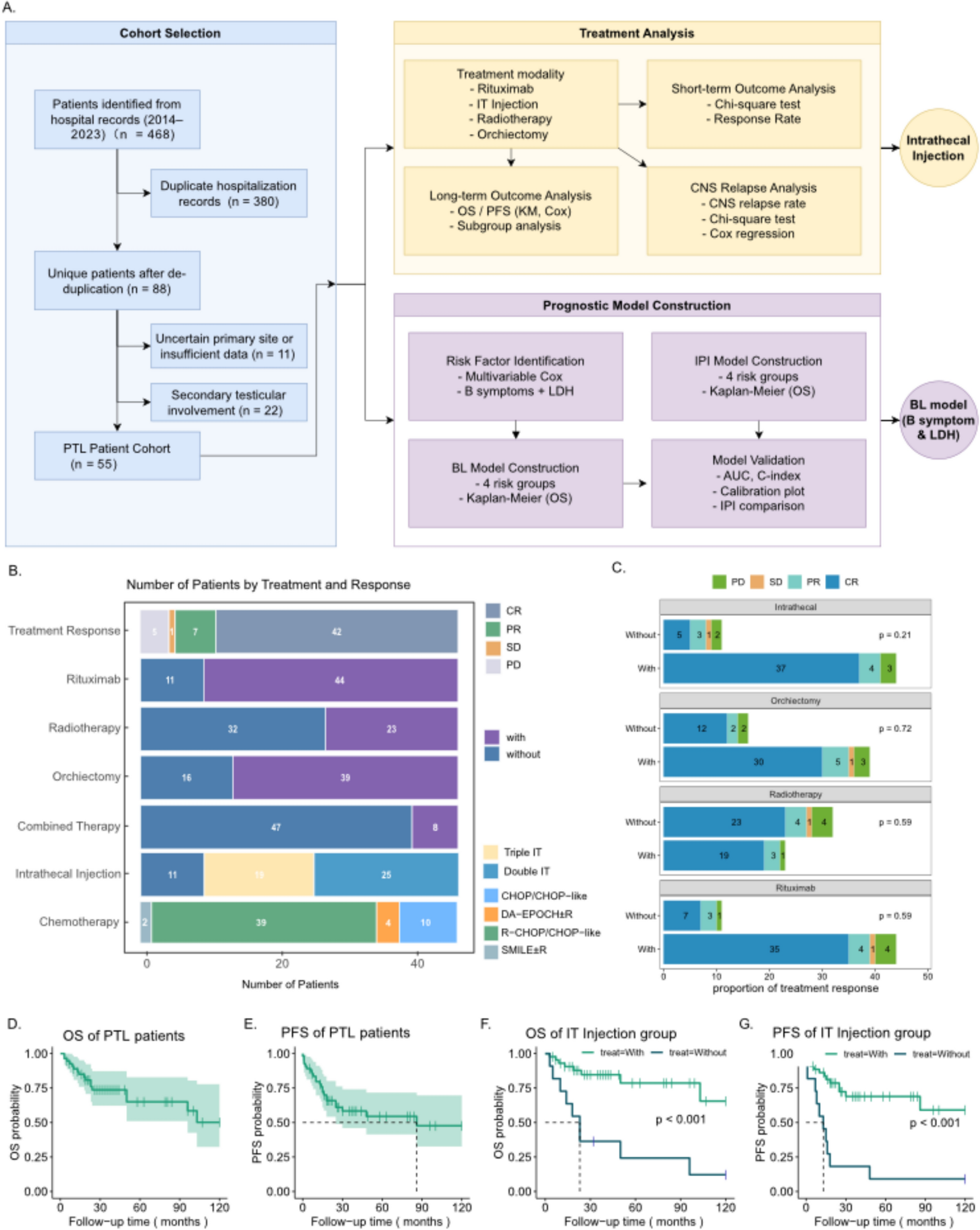 Prognostic impact of central nervous system prophylaxis and a simplified BL model in primary testicular lymphoma: a real-world multicenter study