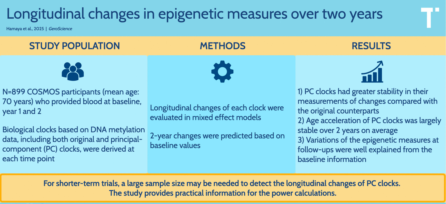 Longitudinal changes in epigenetic measures over 2 years: methodological implications