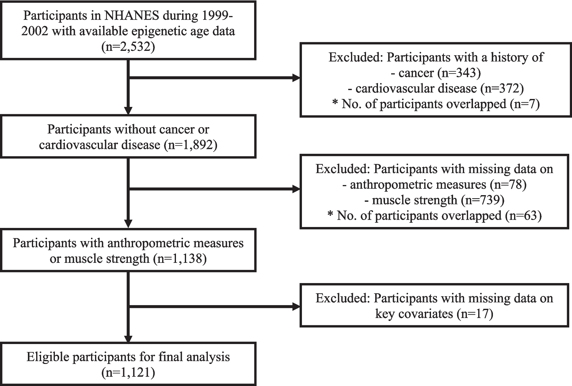 Association of muscle mass and strength with blood-based epigenetic aging among middle-aged and older adults in the United States