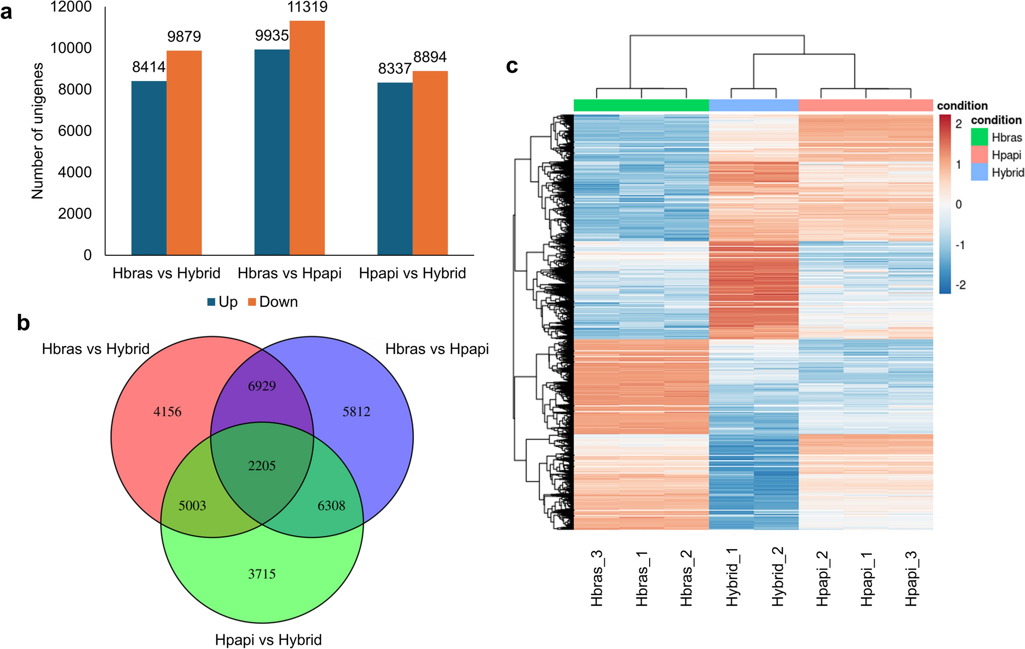 Genetic insights into  species: A comparative transcriptomic analysis