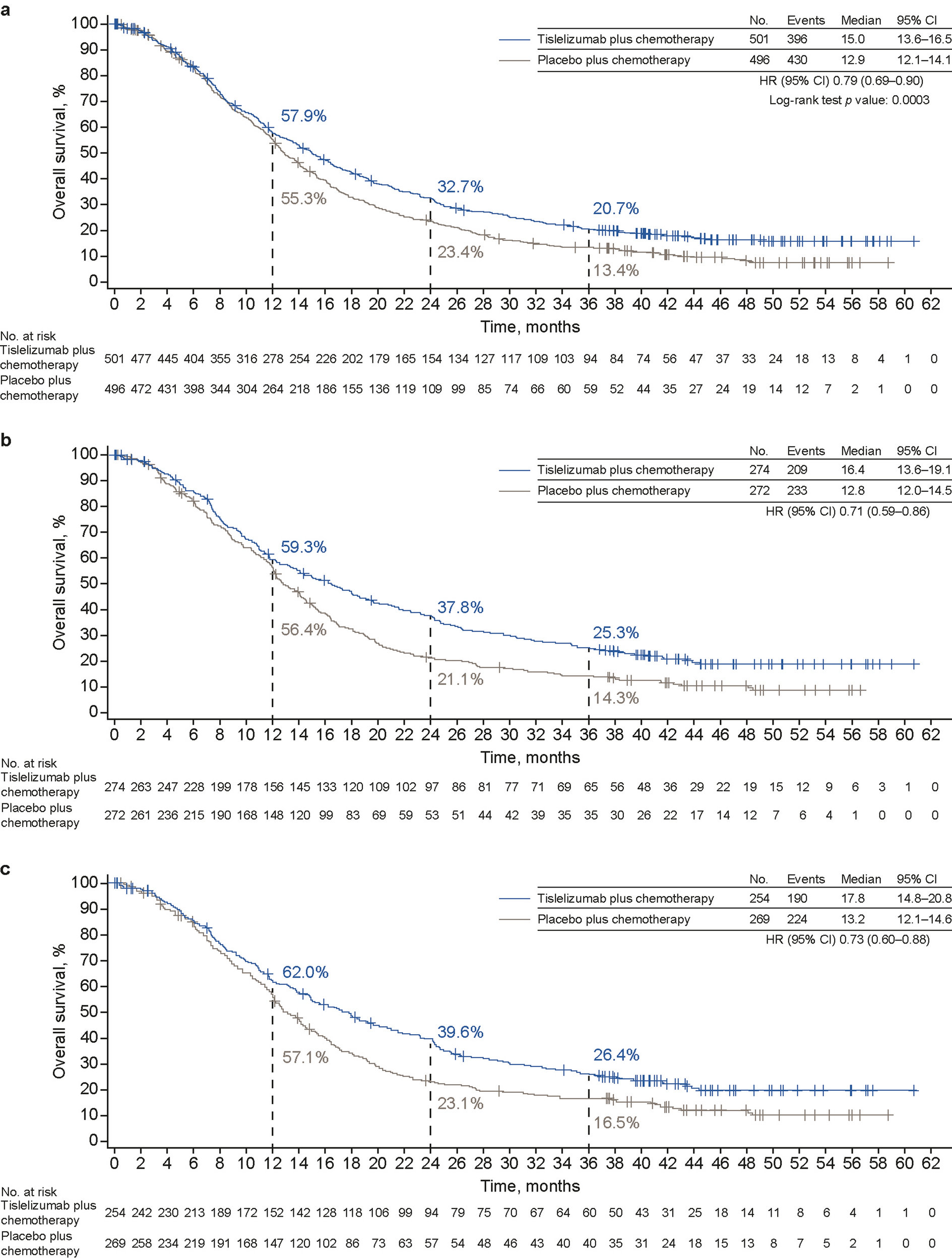 Tislelizumab + Chemotherapy in Gastric Cancer: Long-Term RATIONALE-305 Randomized Trial Follow-up