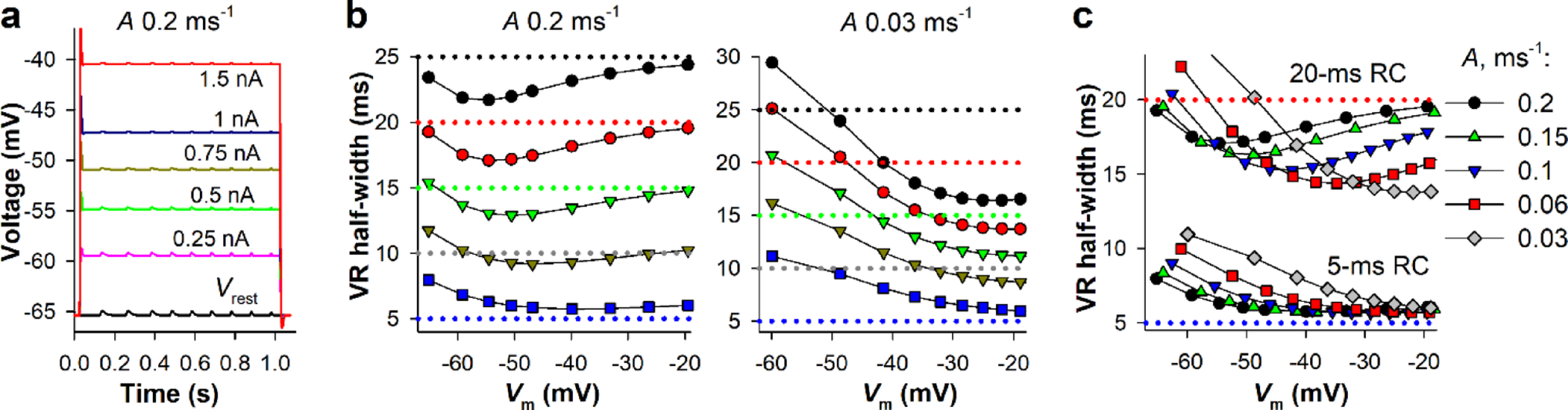 Analysis of inductance-like effects of delayed rectifiers: amplification of voltage response onset, acceleration of decay, and voltage- and kinetics-dependent limitations