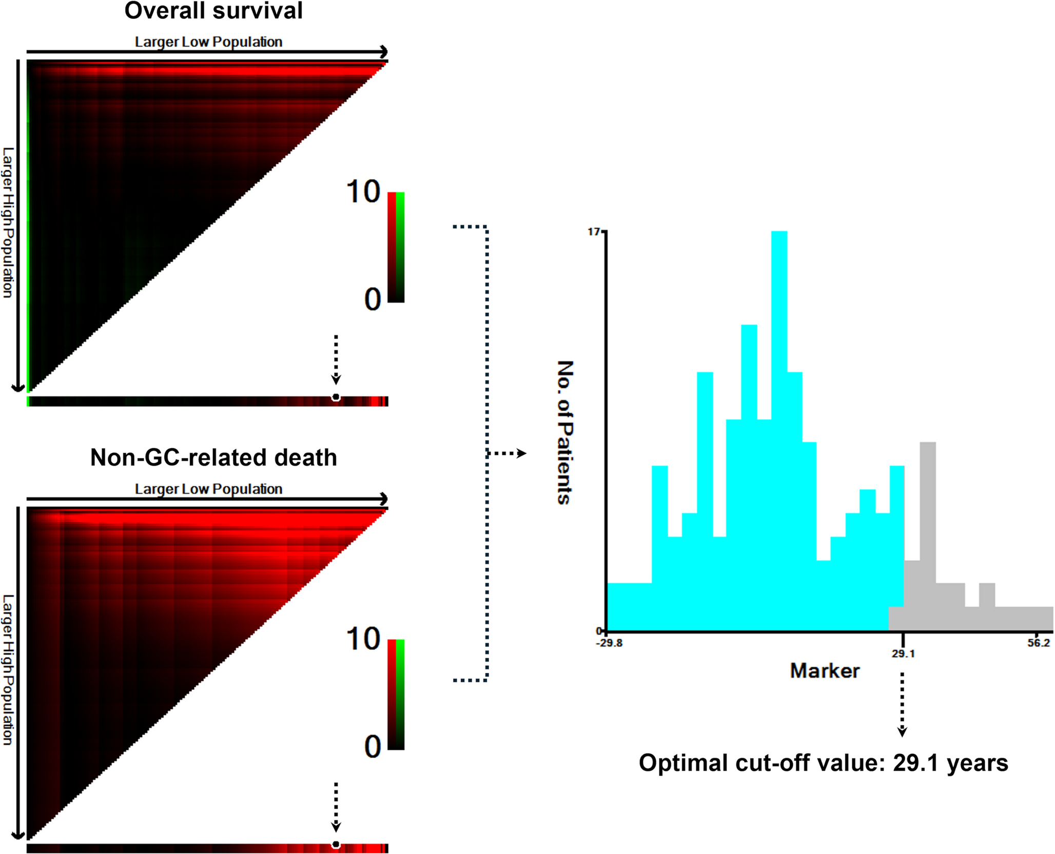 Association of Spirometric Lung Age with Survival Outcomes in Elderly Patients Undergoing Radical Surgery for Gastric Cancer