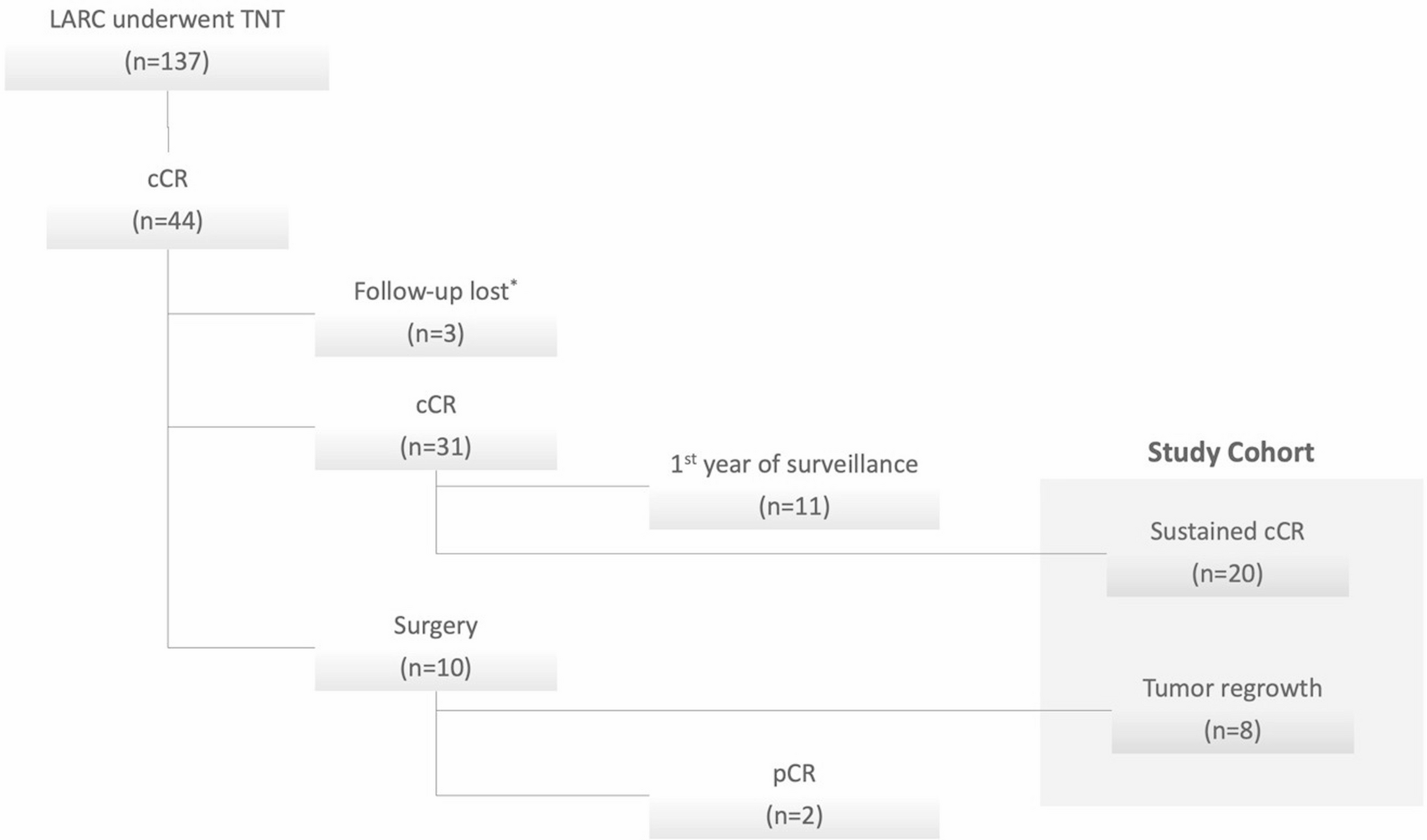 Predicting Tumor Regrowth in Patients Undergoing Non-Operative Management after Total Neoadjuvant Therapy