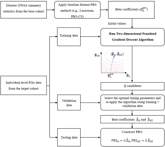 Improving polygenic risk score based drug response prediction using transfer learning