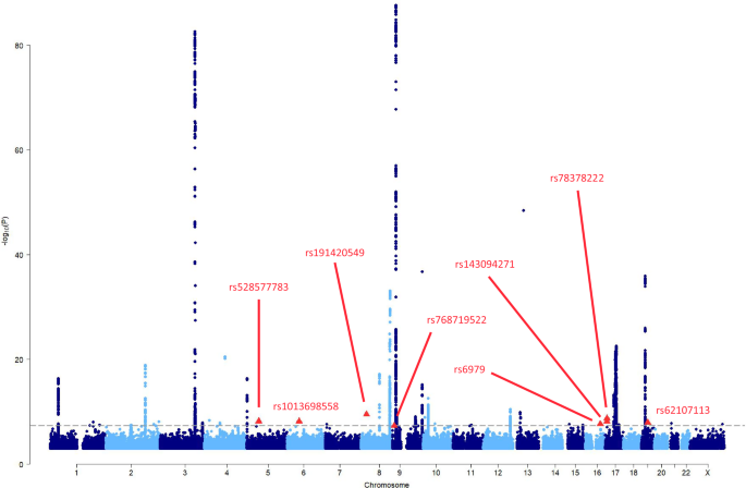 Genome-wide association study of 398,238 women unveils seven loci associated with high-grade serous ovarian cancer