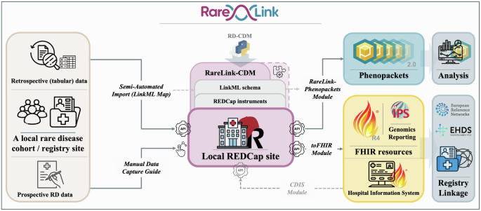 RareLink: scalable REDCap-based framework for rare disease interoperability linking international registries to FHIR and Phenopackets