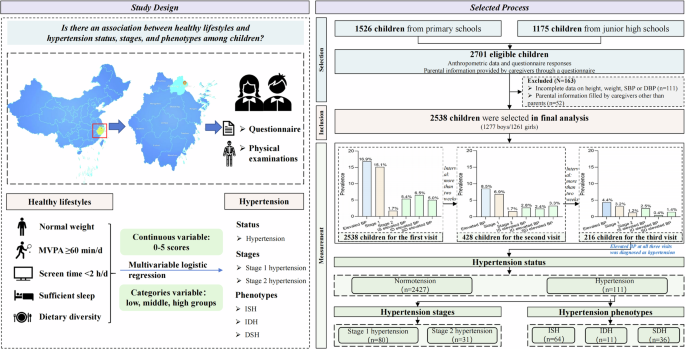 Hypertension in Chinese children: prevalence, phenotypes, stages, and associations with healthy lifestyles from a multi-visit study