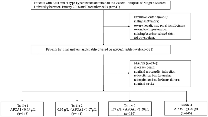 The association between APOA1 levels and long-term outcomes in H-type hypertension with acute myocardial infarction patients: A retrospective cohort study