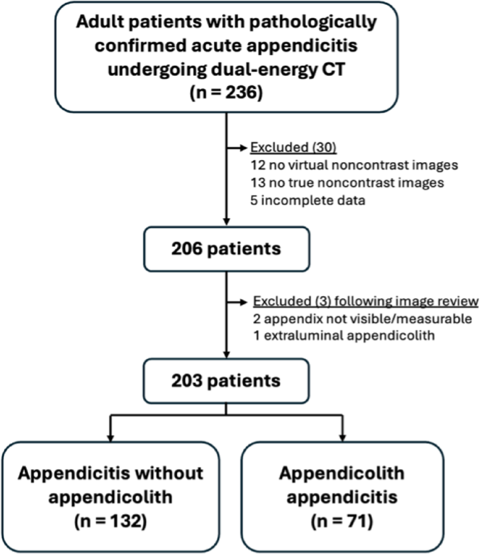 Appendicolith detection in dual-energy CT of adult acute appendicitis: comparing portovenous phase and virtual noncontrast with true noncontrast images