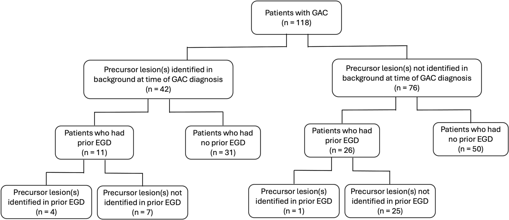 Prevalence of Precursor Lesions in Gastric Adenocarcinoma Specimen: Insights into Pathogenesis in the United States Population