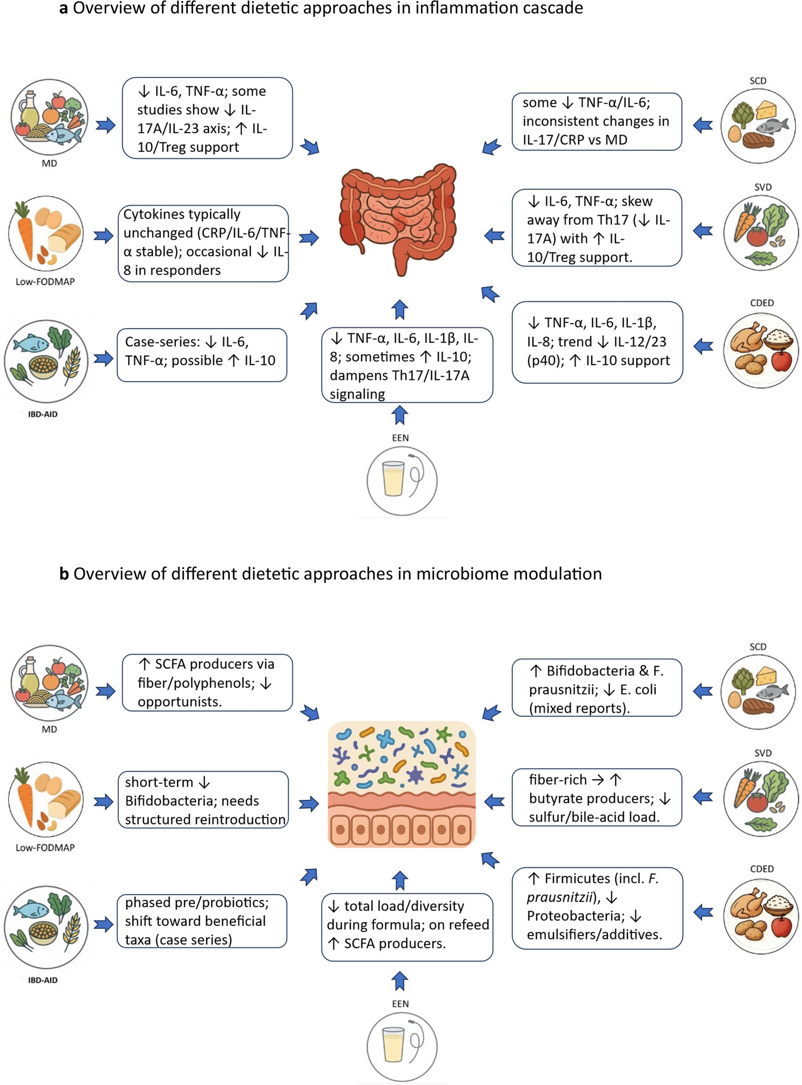 Diet in Inflammatory Bowel Diseases: Efficacy, Tolerability, and Microbiome Effects Toward Personalized Management