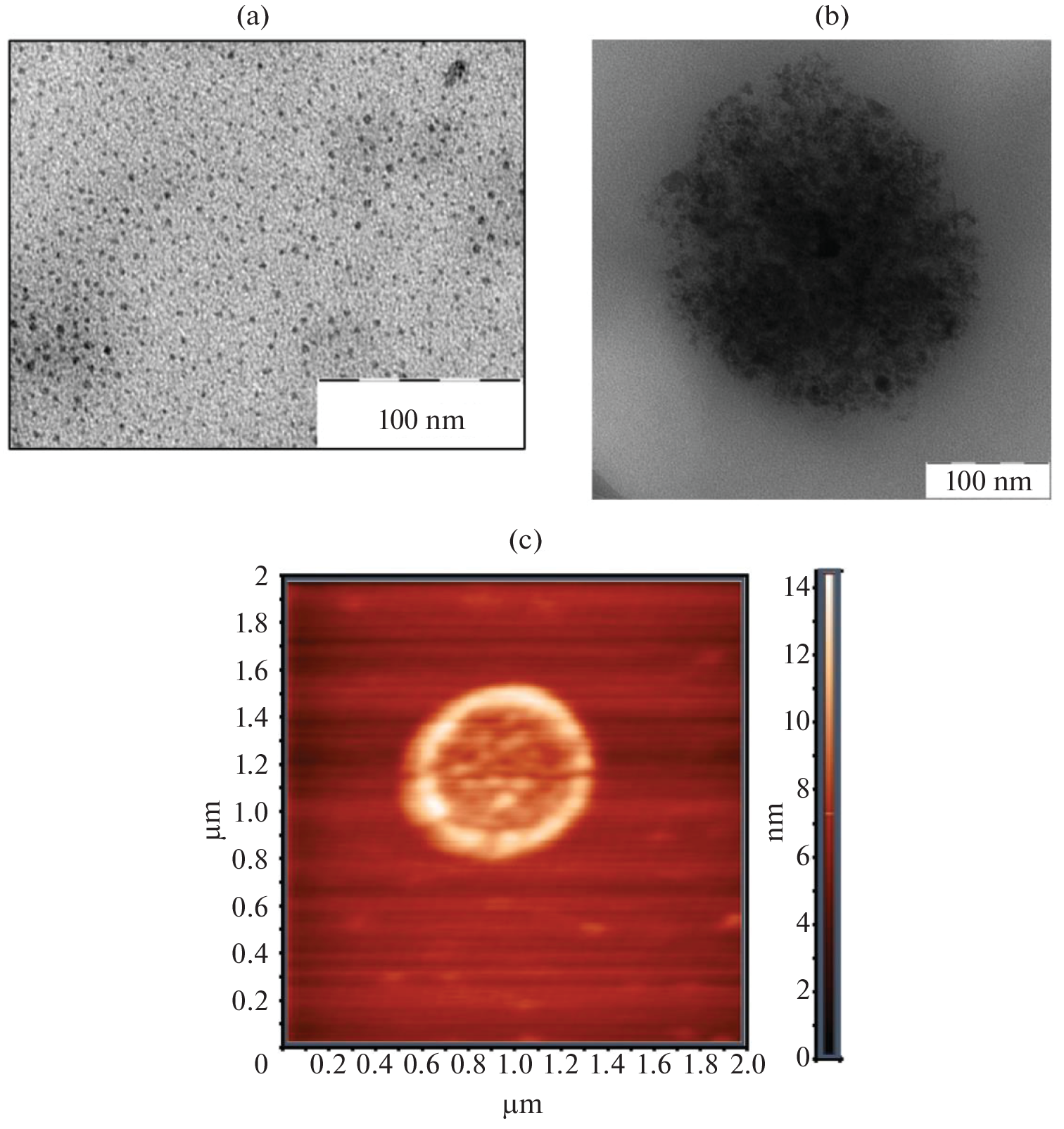 Changes of the Structure and Permeability of Lipid Membranes Caused by Nanoparticles and Pulsed Electromagnetic Effects