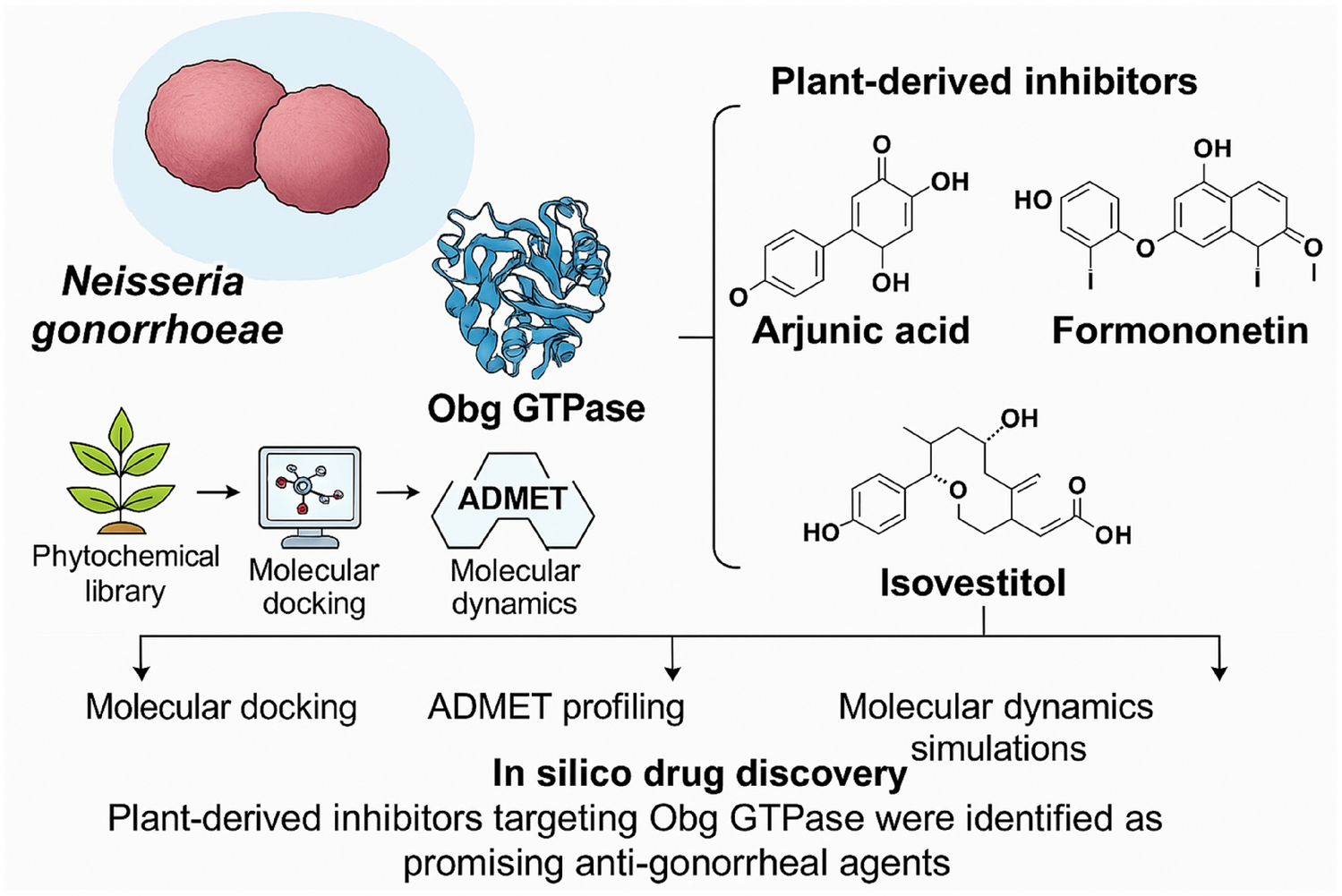 In silico identification of GTPase inhibitors from selected anti-gonorrheal plants against