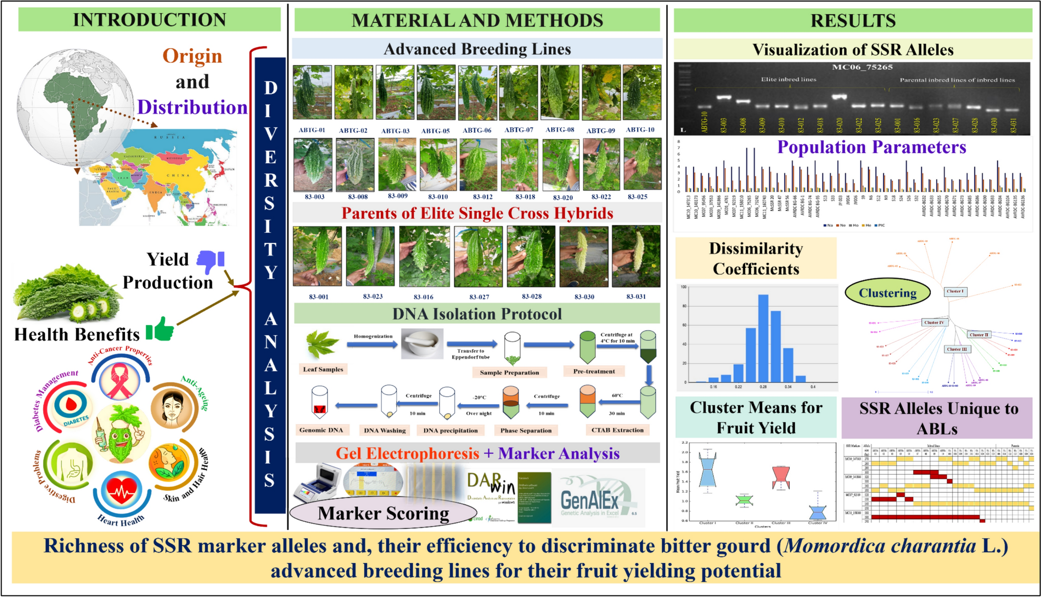 Richness of SSR marker alleles and their efficiency to discriminate bitter gourd ( L.) advanced breeding lines for their fruit yielding potential