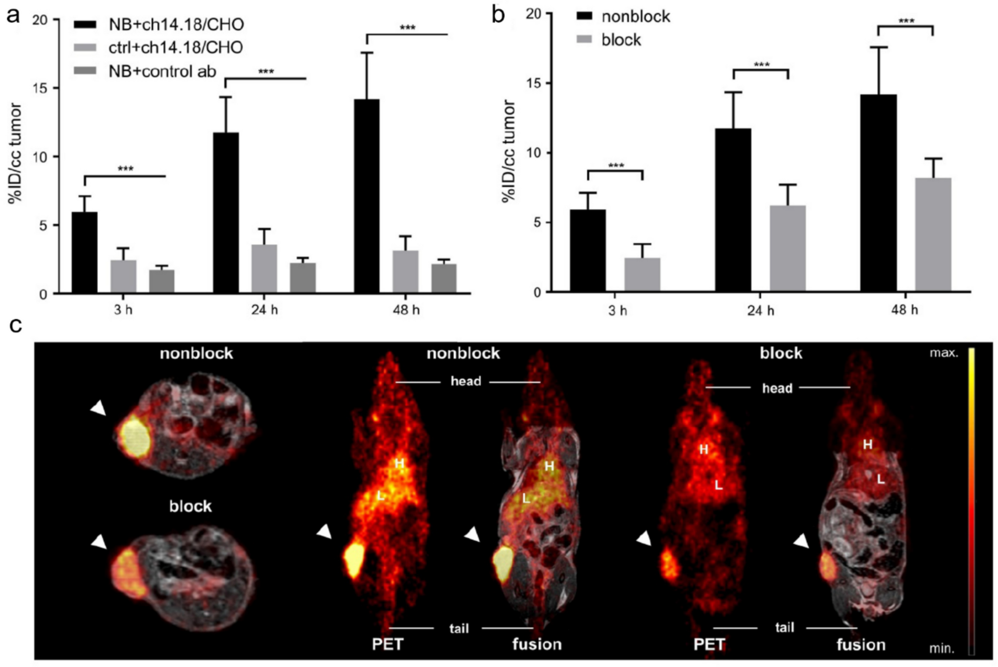 Development of Antibody and Antibody Fragment-Based Radiopharmaceuticals for Cancer Imaging and Therapy