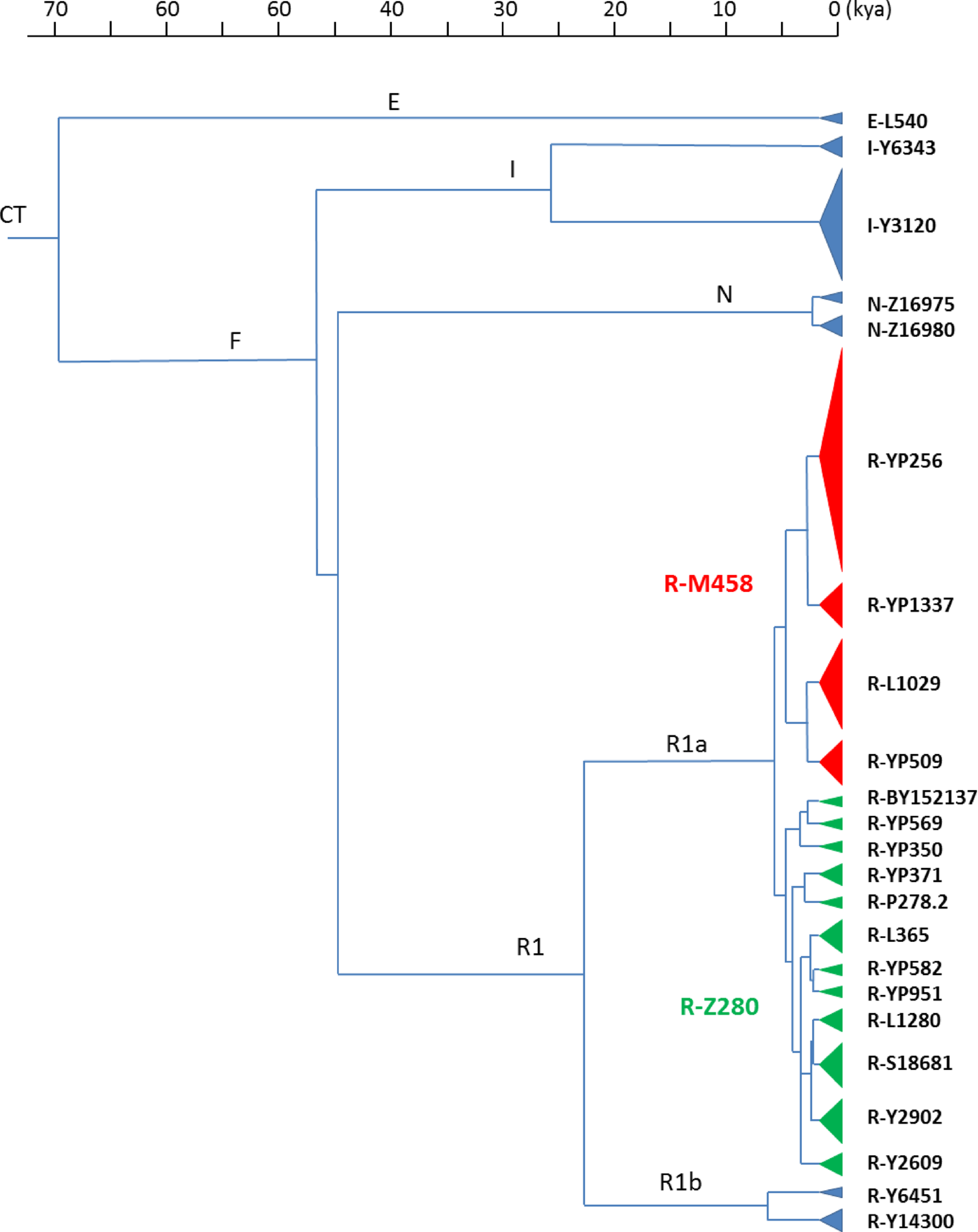 Most males in modern Poland carry Y-chromosomal lineages from clades that have recently expanded over Central, Eastern and South-Eastern Europe