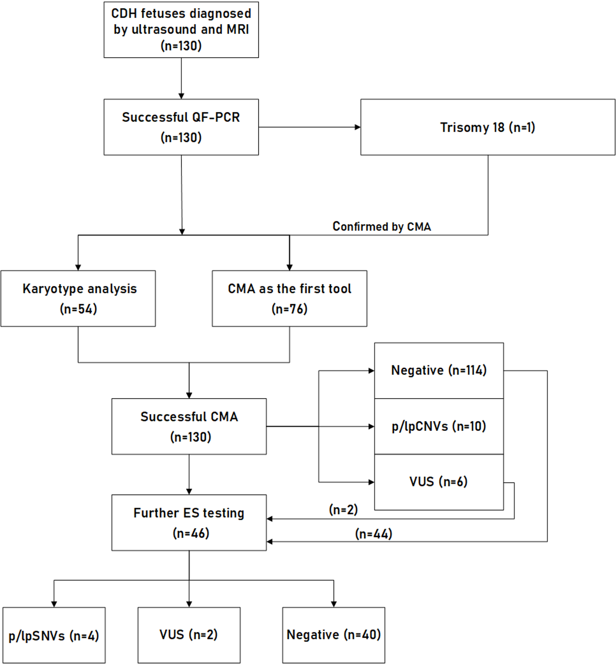 Genetic burden and multidimensional predictors in prenatal diagnosis of fetal congenital diaphragmatic hernia